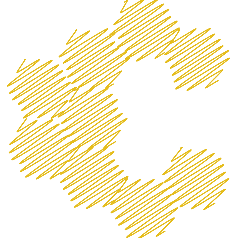 icon logo
